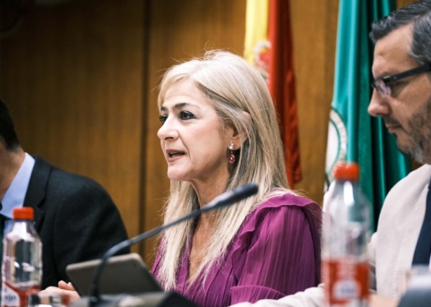 La Consejera de Desarrollo Educativo y Formación Profesional, Patricia del Pozo (JUNTA)