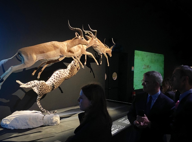 Imagen de la obra (PARQUE DE LAS CIENCIAS)