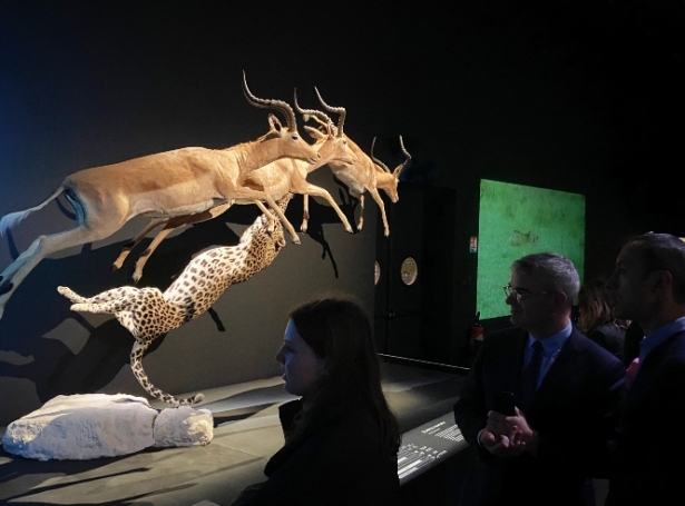 Imagen de la obra (PARQUE DE LAS CIENCIAS)