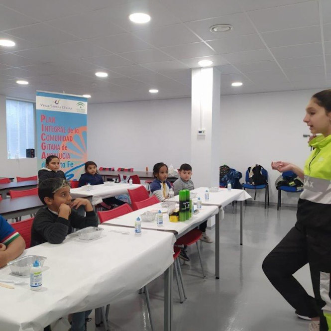 (CONSORCIO VEGA SIERRA ELVIRA)