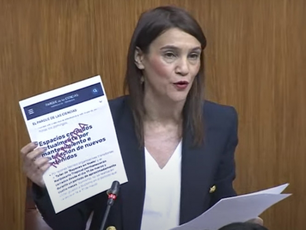 La parlamentaria andaluza del PSOE, Olga Manzano (PSOE) La parlamentaria andaluza del PSOE, Olga Manzano (PSOE)