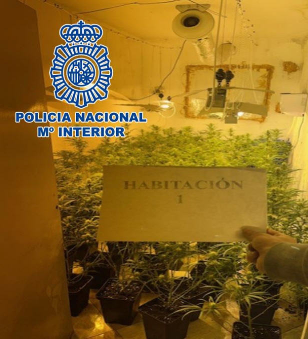 Plantación indoor de marihuana (POLICÍA NACIONAL)