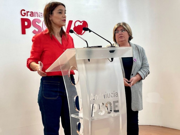 (PSOE) (PSOE)