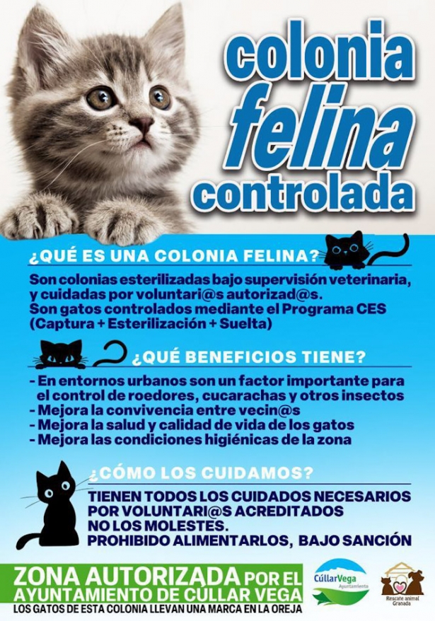 (AYUNTAMIENTO CÚLLAR VEGA)