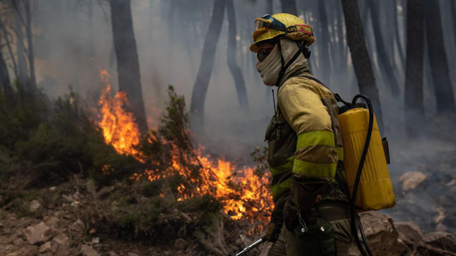 Bombero forestal (JUNTA)