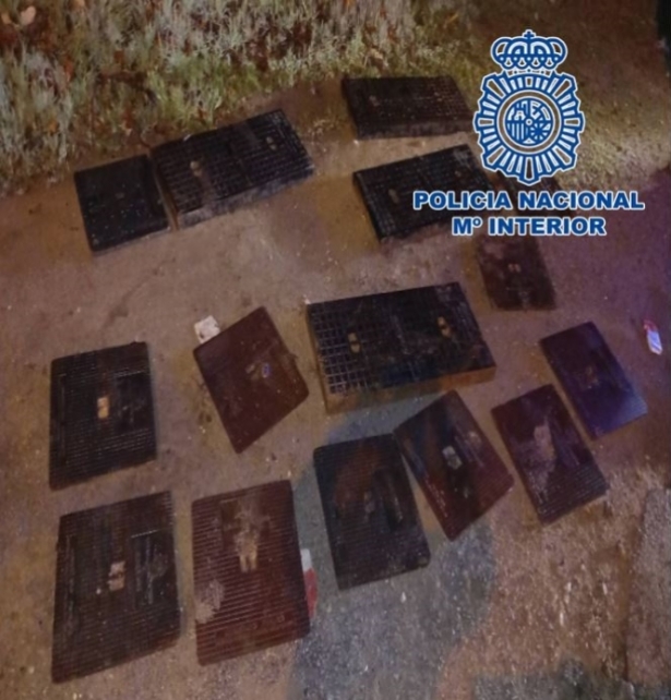 Tapas de registro sustraídas (POLICIA NACIONAL)