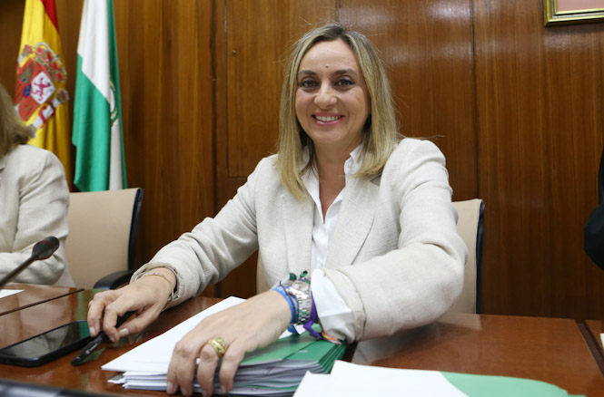 La Consejera de Fomento, Marífrán Carazo (JUNTA)