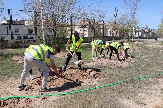 Estudiantes plantando árboles (AYTO. MARACENA)