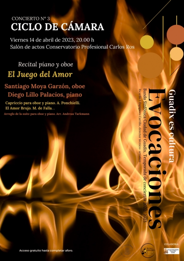 (AYUNTAMIENTO GUADIX)