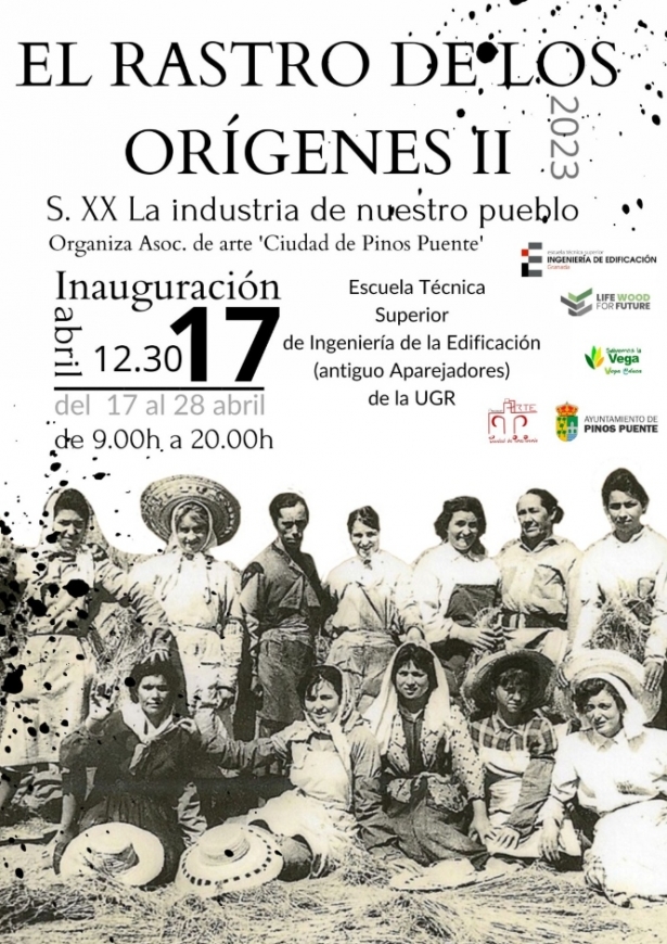 (AYTO. PINOS PUENTE) 