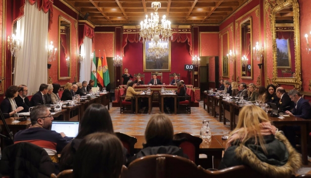 Pleno del Ayuntamiento de Granada, en imagen de archivo  (AYUNTAMIENTO)