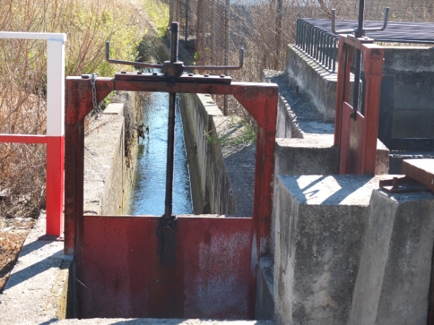 Acequia Gorda del Genil (ASAJA)
