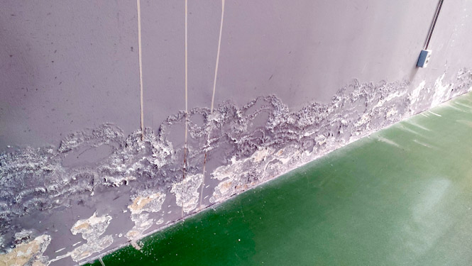 Imagen de las humedades (SYTO. HUÉTOR VEGA)