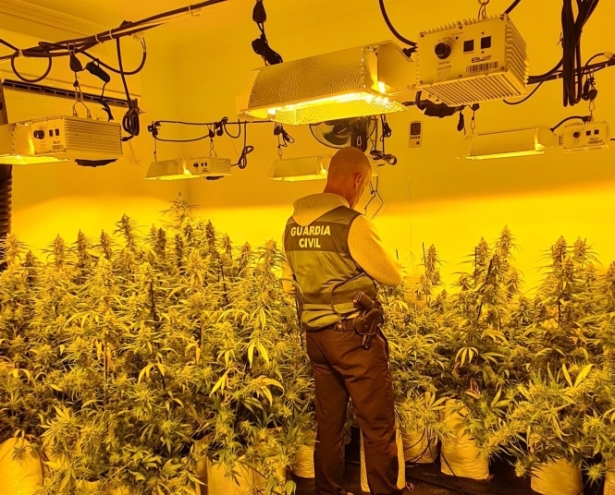 Cultivo de plantas de marihuana en una vivienda. (GUARDIA CIVIL)