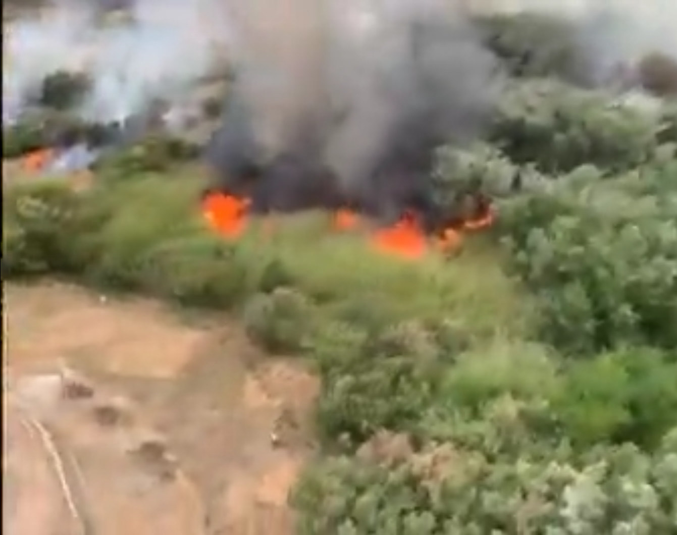 Incendio en Orgiva (INFOCA)