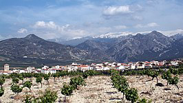 Vista panorámica de Dílar (WIKIPEDIA)