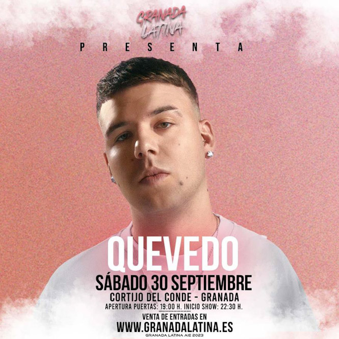 Cartel del concierto (WILD PUNK)