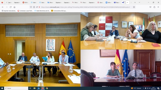 Imagen de la reunión (DIPGRA) 