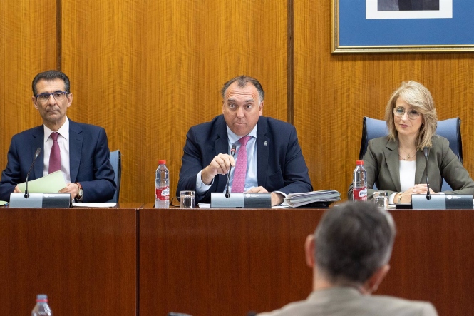 El consejero de Turismo, Cultura y Deporte de la Junta de Andalucía, Arturo Bernal, comparece durante la Comisión de Turismo, Cultura y Deporte (FRANCISCO J. OLMO - EUROPA PRESS) 