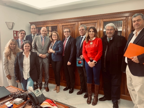 Imagen de la reunión (JUNTOS POR GRANADA) Imagen de la reunión (JUNTOS POR GRANADA)