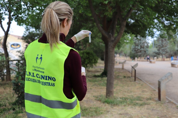 (AYUNTAMIENTO MARACENA)