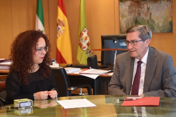 Imagen de la reunión (R. MARTÍNEZ / DIPGRA)