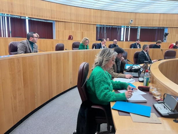 Grupo del PP en la Diputación de Granada, en imagen de archivo (PP)