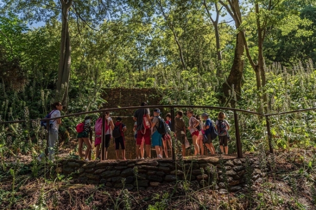 La Alhambra abre el plazo de reserva para el programa educativo de verano (JUNTA DE ANDALUCÍA)