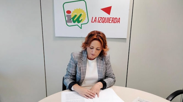 La coordinadora provincial de IU Granada, Mari Carmen Pérez (IU) La coordinadora provincial de IU Granada, Mari Carmen Pérez (IU)