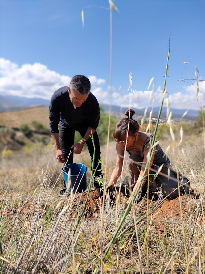 (AYUNTAMIENTO HUÉTOR VEGA)