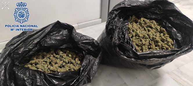 Marihuana incautada (POLICÍA NACIONAL)