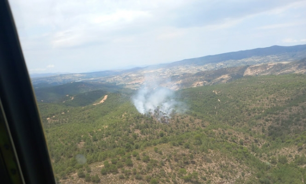 Lugar del incendio (INFOCA) Lugar del incendio (INFOCA)