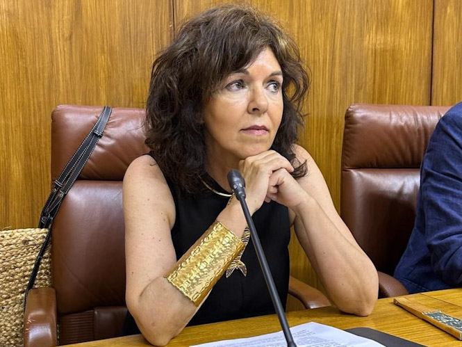 La parlamentaria andaluza del PSOE, Mari Ángeles Prieto (PSOE)