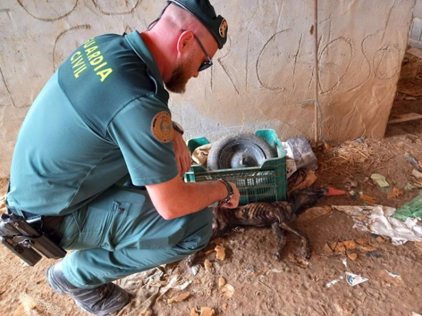 Agente de la Guardia Civil junto a uno de los perros (GUARDIA CIVIL)