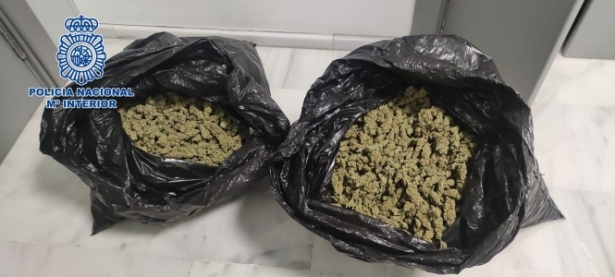 Marihuana incautada (POLICÍA NACIONAL) 