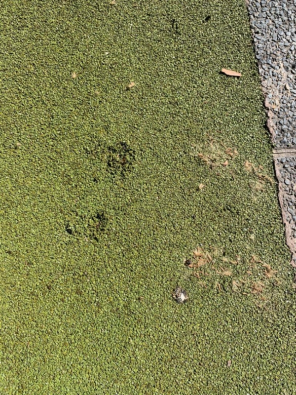 (AYUNTAMEINTO GUADIX)