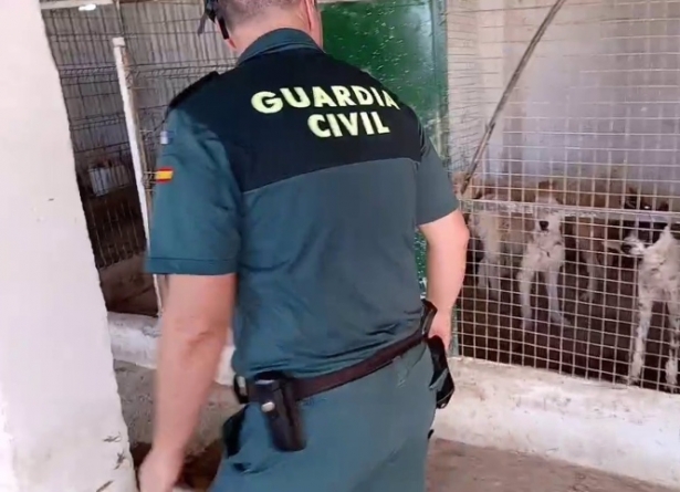 Agente del Seprona (GUARDIA CIVIL)