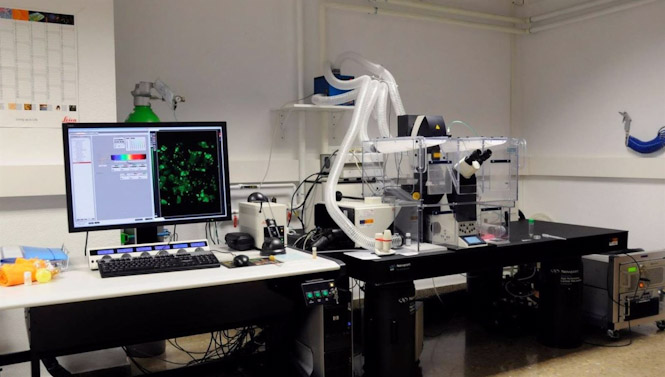 Laboratorio (UNIVERSIDAD DE GRANADA)