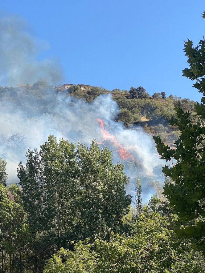Lugar donde se ha producido el incendio (INFOCA)