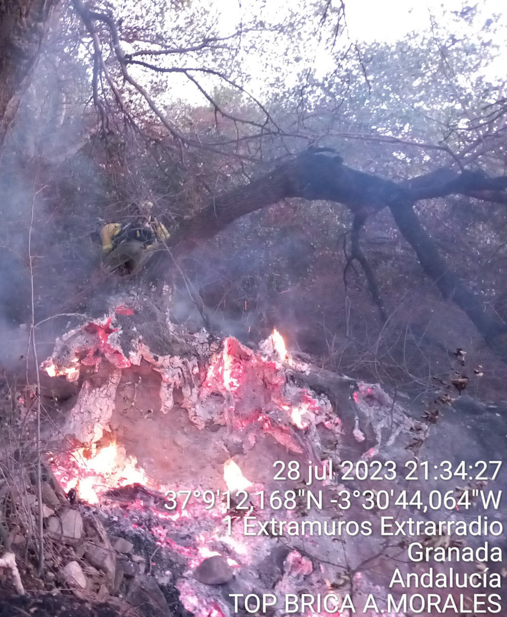 Incendio en Pinos Genil (INFOCA)