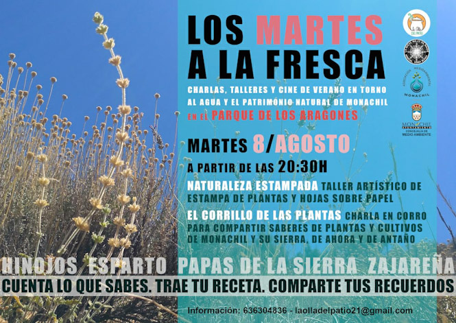 (AYUNTAMIENTO MONACHIL)