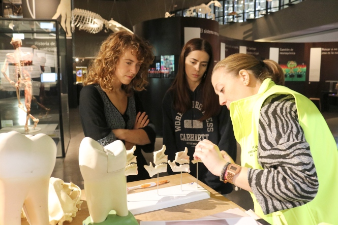 (PARQUE DE LAS CIENCIAS) 