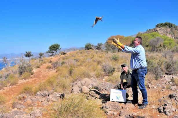 Suelta de las aves (JUNTA) 