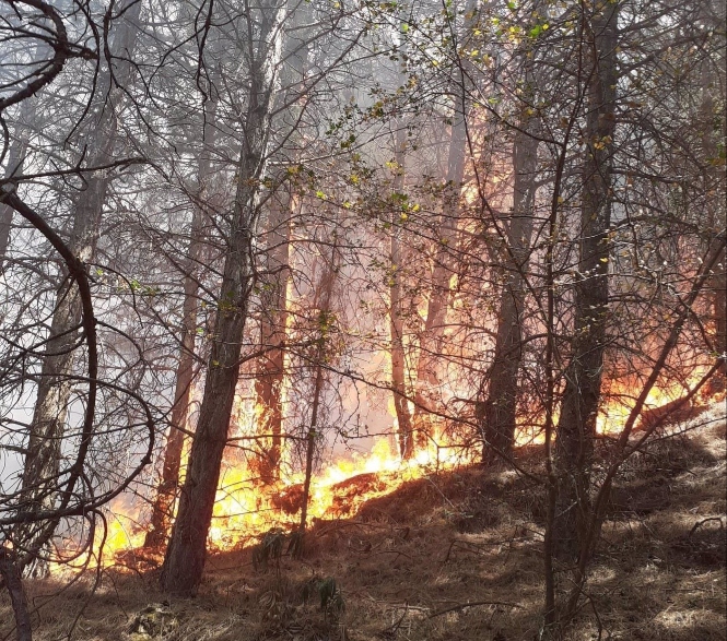 Incendio forestal en Dúrcal, en la tarde de este viernes (PERFIL DEL INFOCA EN LA RED SOCIAL X) 