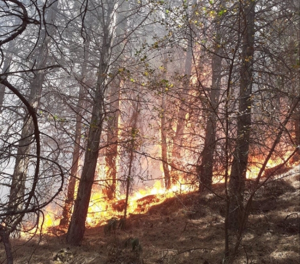 Incendio forestal en Dúrcal, en la tarde de este viernes (PERFIL DEL INFOCA EN LA RED SOCIAL X) 