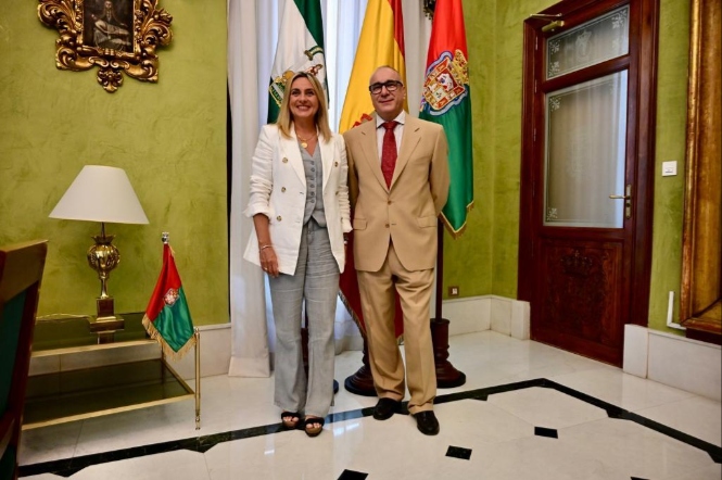 Imagen de la reunión (AYTO GRANADA) 