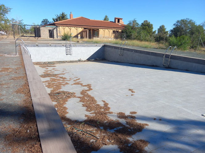 Piscina vacía (PSOE)
