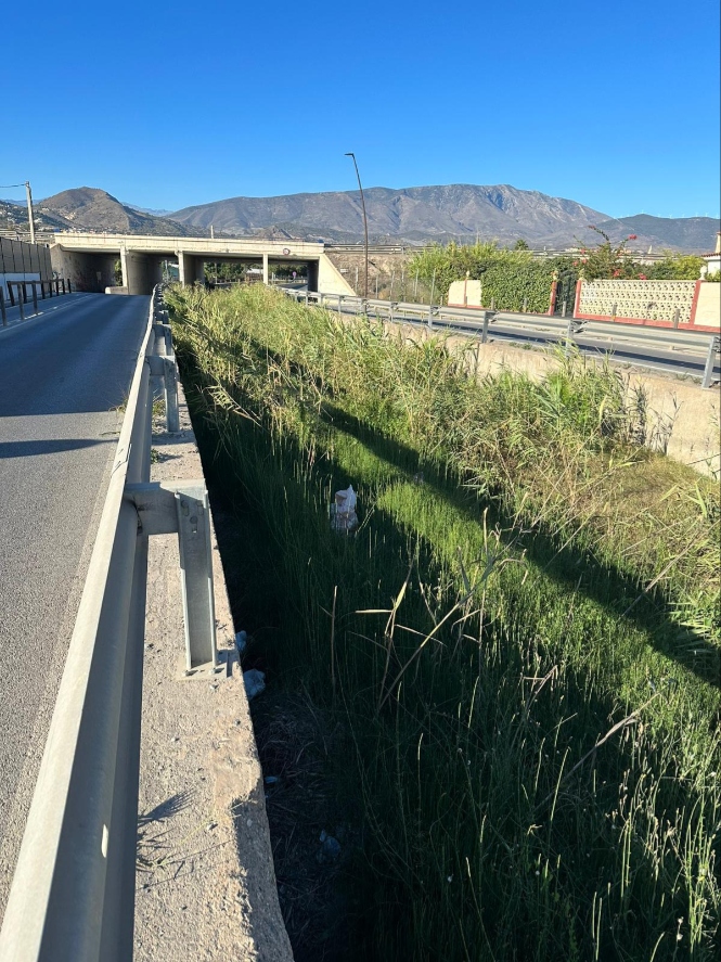 La Rambla de las Brujas (PSOE) 