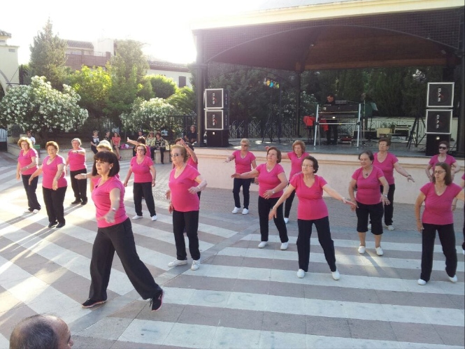 (AYUNTAMIENTO LA ZUBIA) 