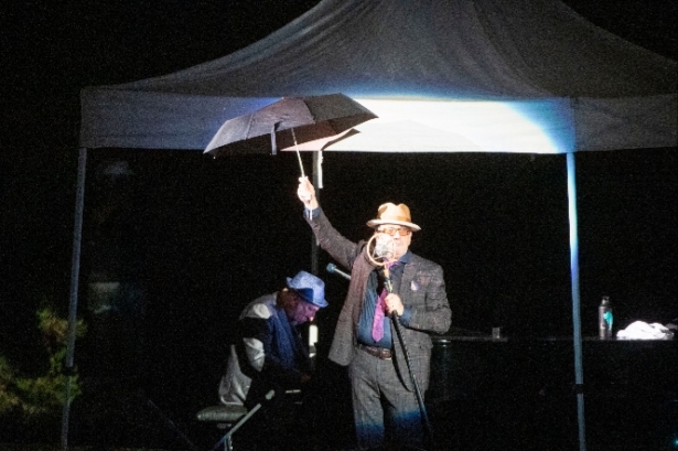 Concierto de Elvis Costello (1.001 MÚSICAS) 